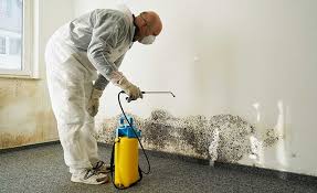 Best Mold Odor Removal Services  in Suncrest, WA